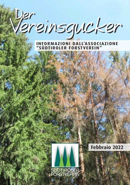 Vereinsgucker 2021 in lingua italiana